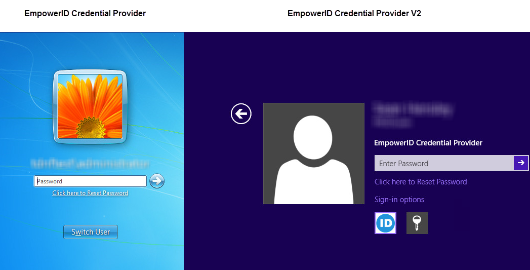 Credential Provider Reset Password
