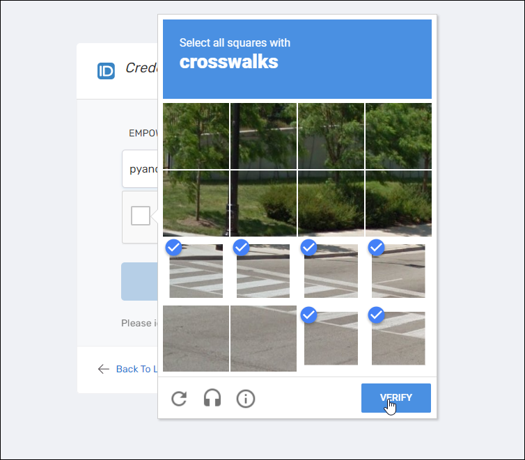 reCAPTCHA Challenge